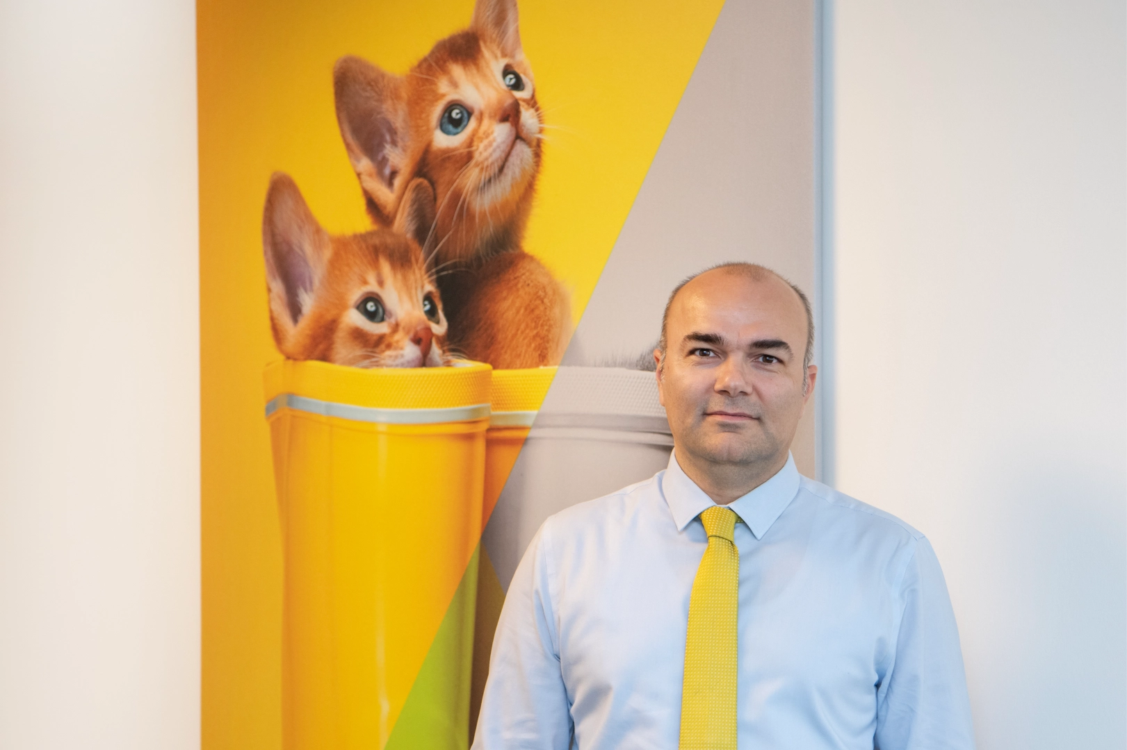 MSD Hayvan Sağlığı Araştırması: "Her 4 Kedi Sahibinden 1'i Yanılıyor"